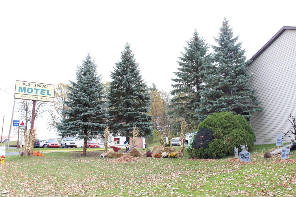 Blue Spruce Motel Massena Exterior photo