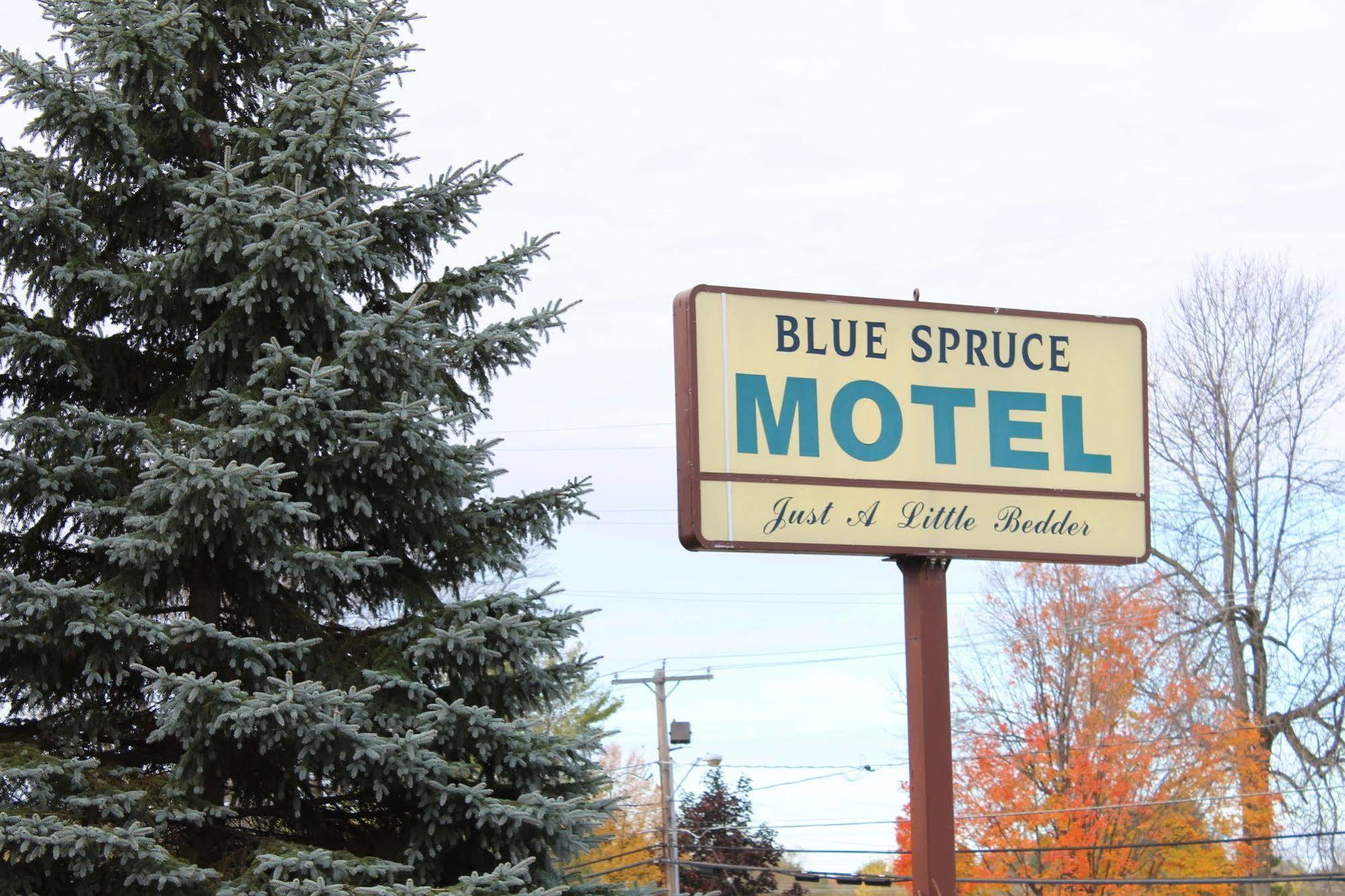 Blue Spruce Motel Massena Exterior photo